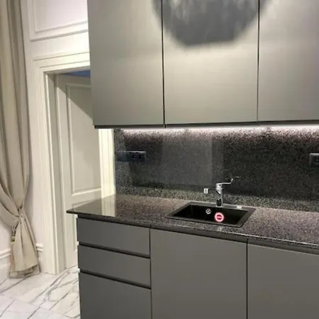 아파트 Premium Luxury Near Basilica 부다페스트